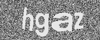 Verification image